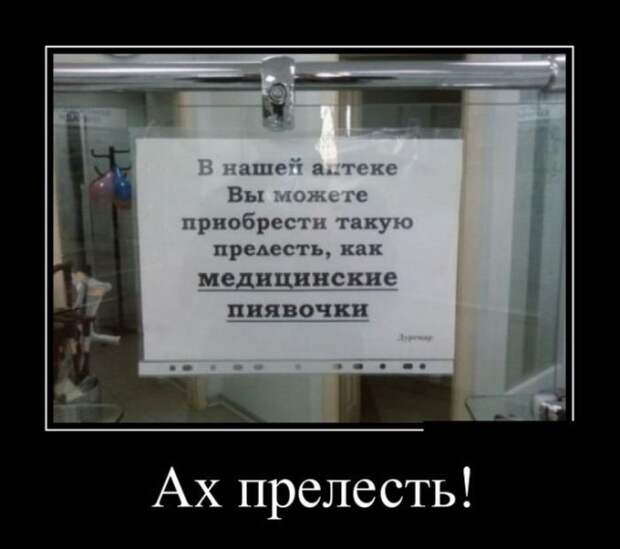 Демотиваторы (30 фото)