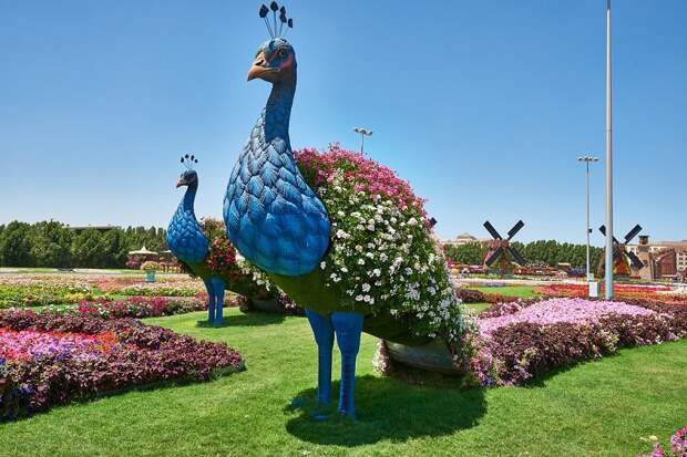 Удивительный парк цветов в Дубае