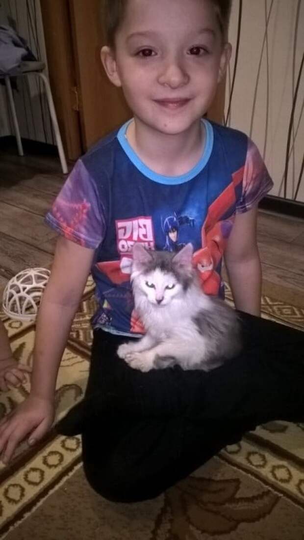 мальчик и котенок