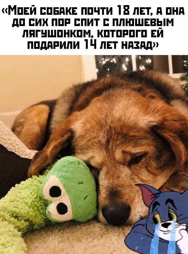 kartinok-interesnyh-prikolnyh-kartinki-smeshnye-kartinki-fotoprikoly