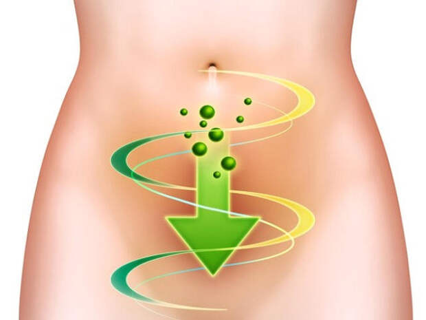 Картинки по запросу 2 ингредиента избавят Вас от токсинов и отходов в кишечнике