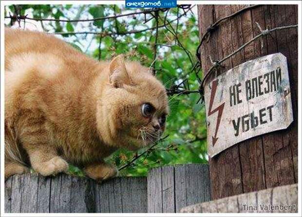 Забавно :)(25 фото)