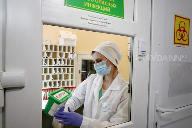 Врач-инфекционист Матюхин назвал главные ошибки при удалении клеща