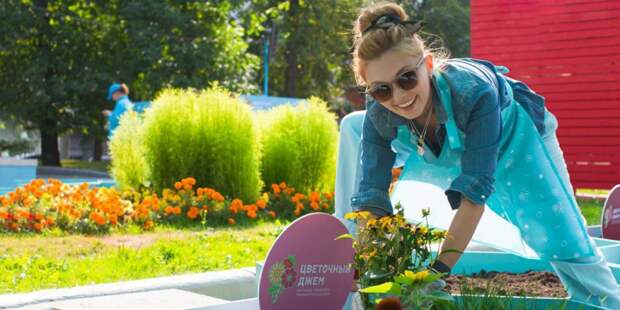 Фестиваль «Цветочный джем» пройдет в Москве с 23 августа по 8 сентября. Фото: mos.ru