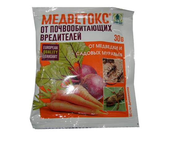 Двухвостка: что это за насекомое, как избавиться