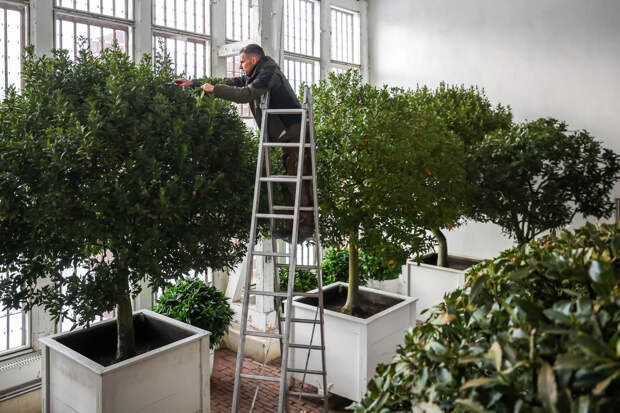 13 апреля: какой праздник отмечают в России и мире