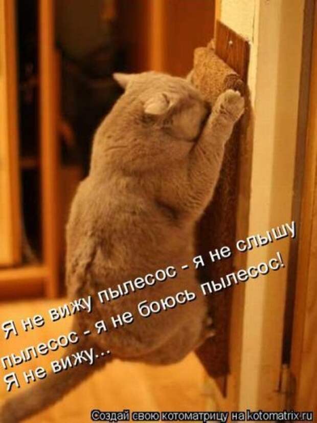 Забавные котоматрицы