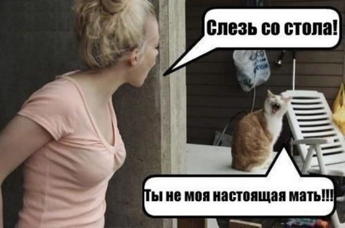 15 очень смешных снимков, которые точно поднимут вам настроение
