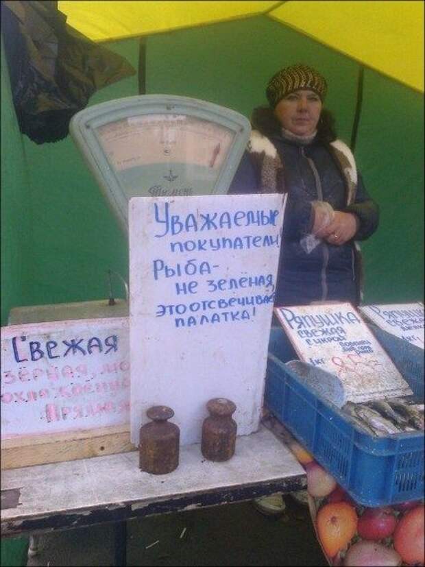 Прикольные надписи и объявления