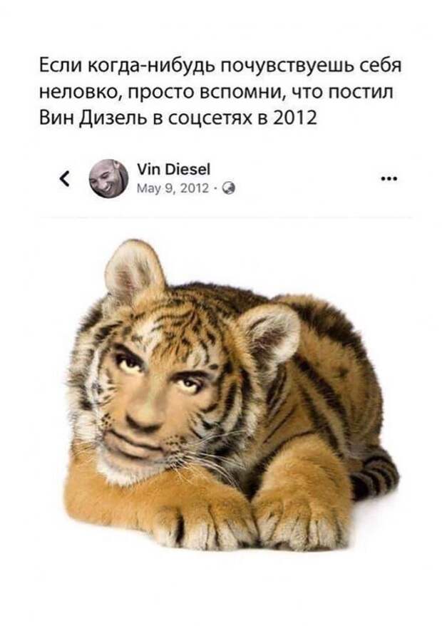 Нестандартный юмор :)