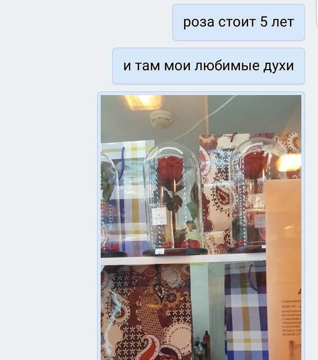 Намекать правильно - это искусство Намекать правильно - это искусство