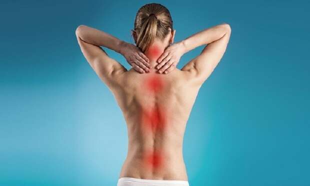 здоровье позвоночника