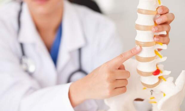 как укрепить позвоночник