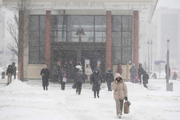 Последствия накрывшего Москву снегопада оценили