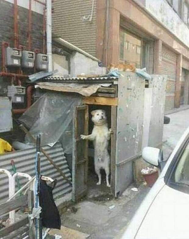 Приколы в фотографиях