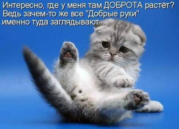Продолжаем подготовку к Новому Году.