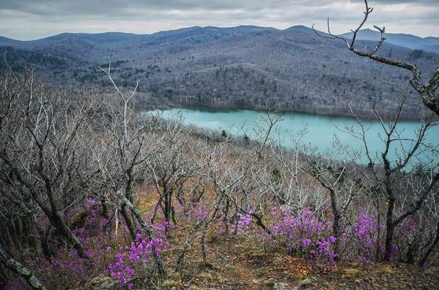 Большой путеводитель по Приморью: 10 мест, куда отправиться в путешествие