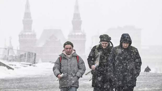 Синоптик Тишковец назвал прошедший в Москве снегопад рекордным за 56 лет