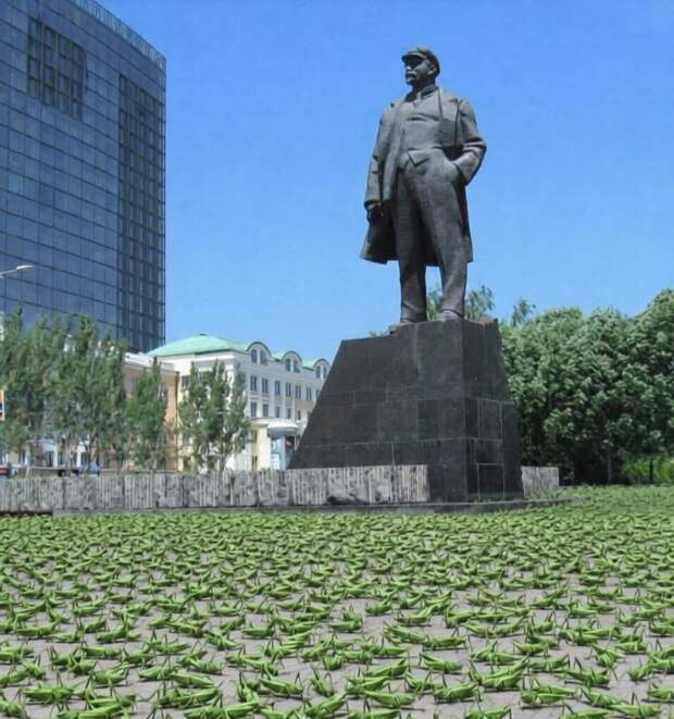 В городах ДНР наблюдается нашествие кузнечиков и кобылок из-за снижения