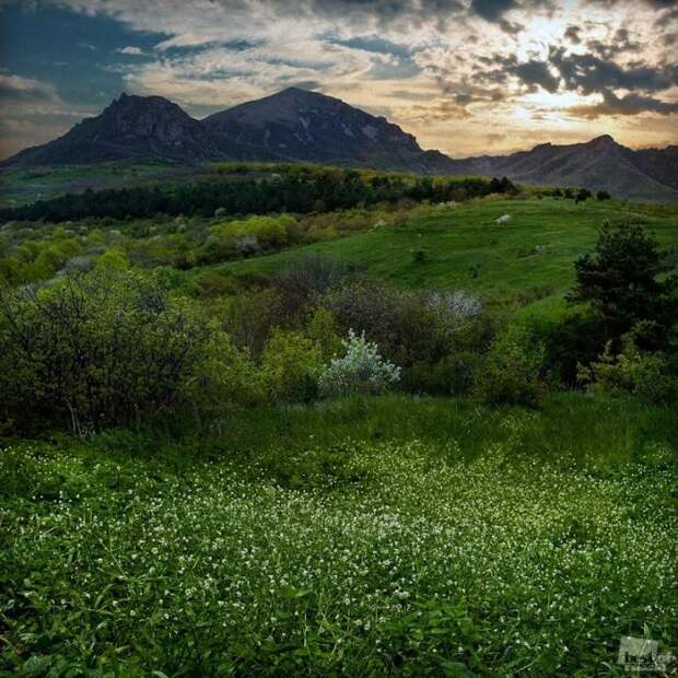Лучшие фотографии России 2011. Номинация Природа