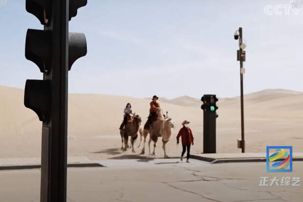Oddity Central: в Китае в пустыне поставили светофоры, регулирующие движение верблюдов