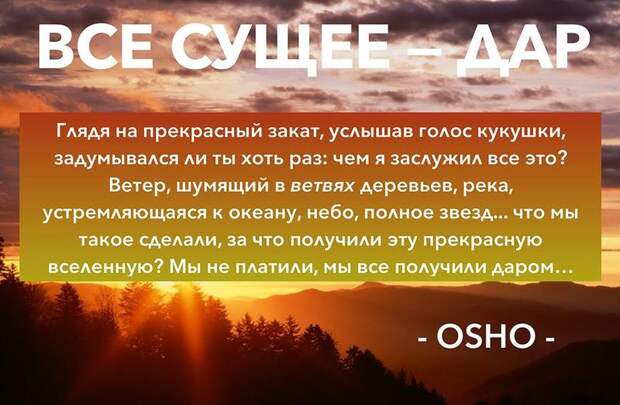 Потрясающие цитаты Ошо о жизни, любви и свободе