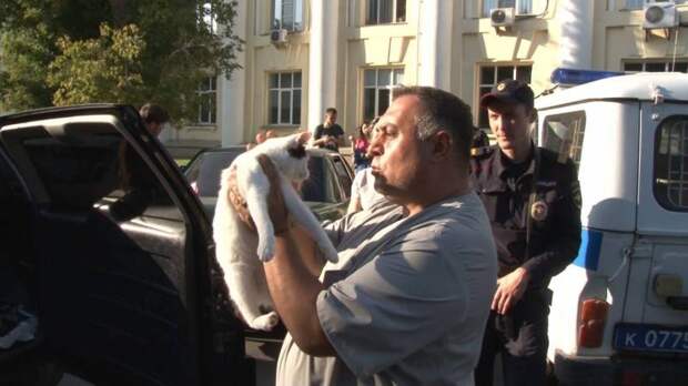 В Челябинске спасли двух кошек, которых хозяева в наказание на неделю заперли в автомобиле