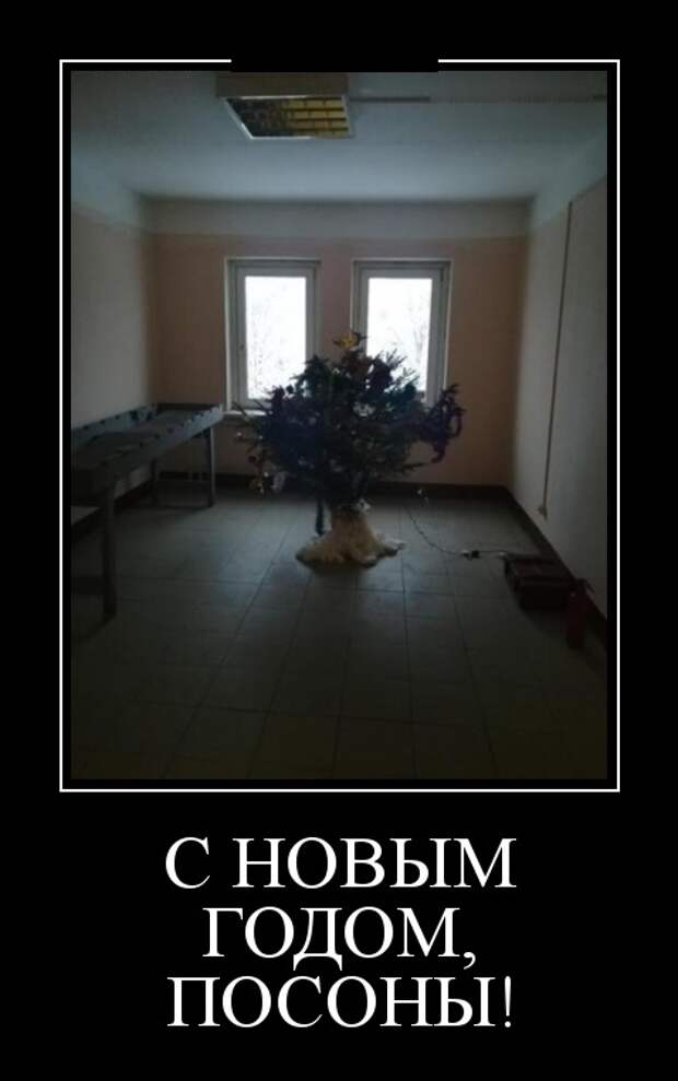 Демотиваторы (30 фото)