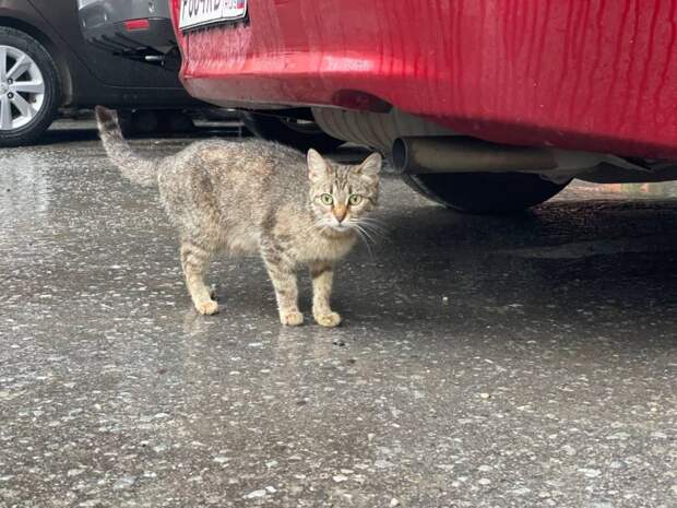 В Тульской области 5 апреля ожидается усиление ветра до 17 м/с