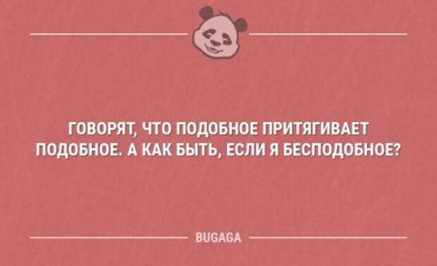 Пришёл в гости на чай, налили виски. Сразу понятно: здесь любят и ждут!