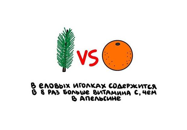 Короткие интересные факты на все случаи жизни