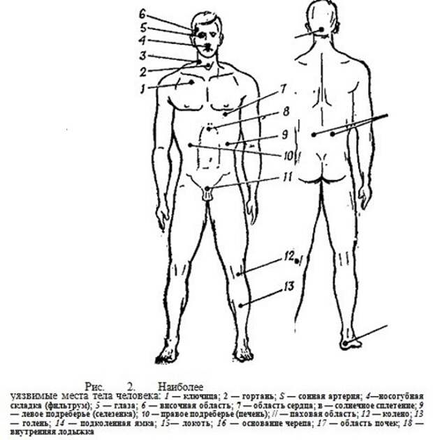 Различные точки тела. Болевые точки человека изучение. Уязвимые болевые точки на теле человека. Анатомия человека уязвимые точки. Приемы болевые точки.
