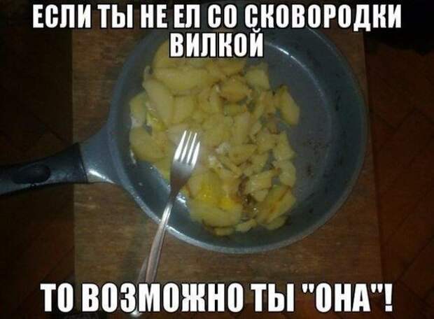 Картинки с надписями картинки, картинки с надписями, надписи, прикол, юмор