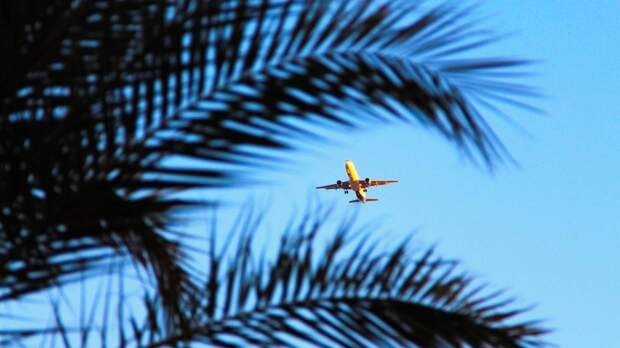 АТОР: открытие чартерных рейсов в Египет может снизить цену на перелет до 20%