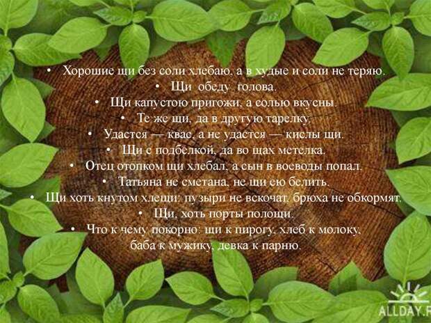 Щи капустою пригожи Щи капустою пригожи