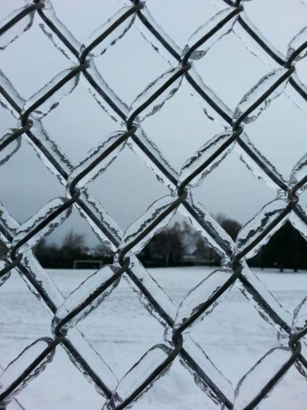 Смешное - невероятное