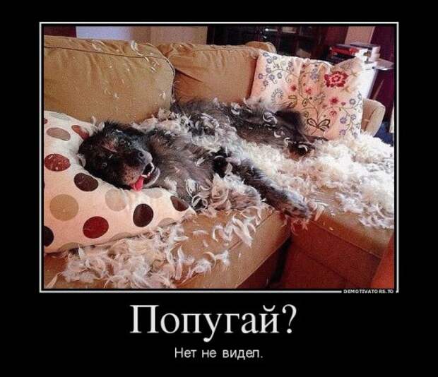 Новые прикольные демотиваторы (20 фото)