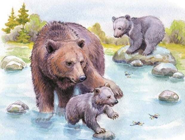 Купание медвежат. Иллюстрация из книги В. Бианки 