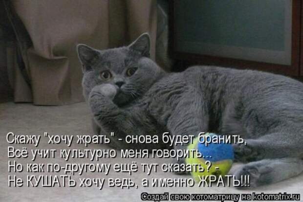 1359321621_96696258_large_1330447843__010 (570x380, 59Kb)
