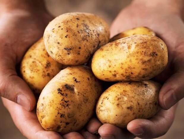 7 удивительных способов применения картофеля не по назначению