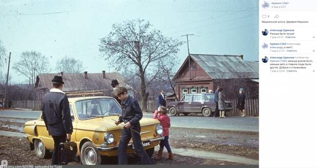 Фото дня: «ушастый» в Машкине