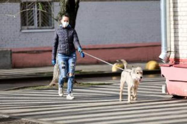 Волонтерами акции «Мы вместе» стали более 12 тыс москвичей. Фото: архив, «Вечерняя Москва»