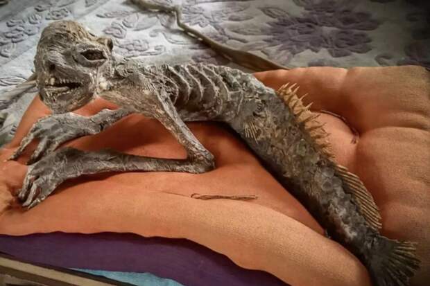 В японской Фукусиме обнаружили загадочную мумию «русалки»