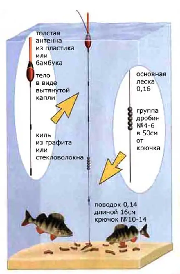 Поплавочная оснастка на карпа