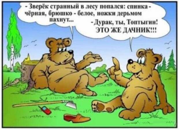 Карикатурки