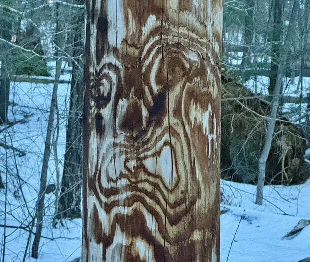 30 фото, запечатлевших маленькие чудеса обыденности и повседневности