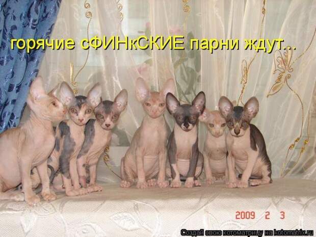 Мысли вслух :)