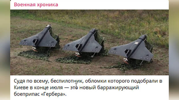 ПОКА ГЛАВНОЕ ДОСТОИНСТВО ЭТИХ БПЛА — ТО, ЧТО В ПОЛЁТЕ ОНИ ИЗДАЮТ ТАКОЙ ЖЕ ШУМ, КАК И "ГЕРАНИ". СКРИНШОТ С ТГ-КАНАЛА "ВОЕННАЯ ХРОНИКА".