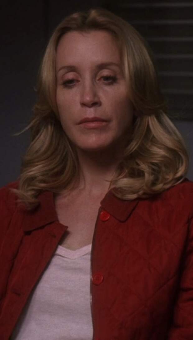 Lynette Scavo is one of the TV show characters diagnosed with cancer whose life ascends in remission.
