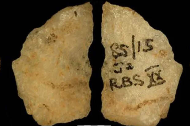 Обнаружены древнейшие из известных отравленных стрел